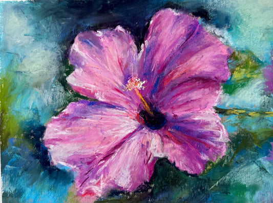 Hibiscus