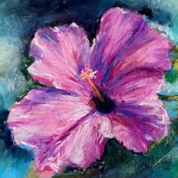 Hibiscus