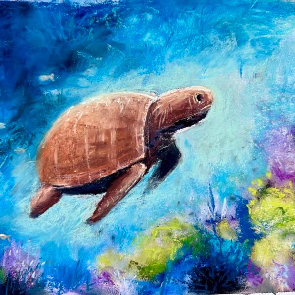 Turtle