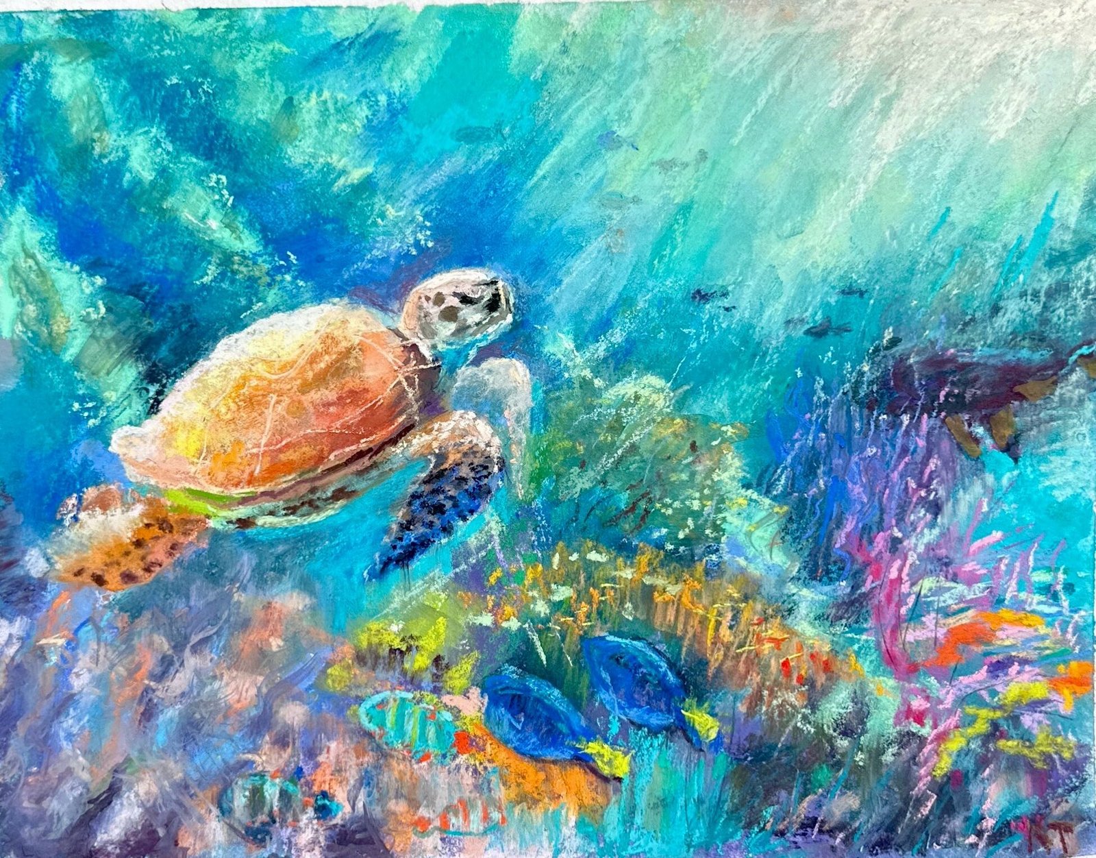 Under the Sea